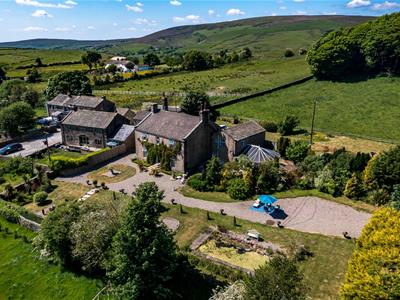 Picture 39